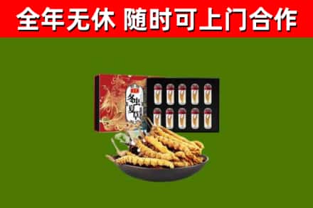 兴安盟回收冬虫夏草价格